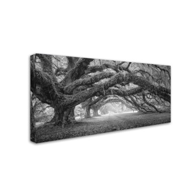 « pasage 1 ol bw », reproduction de photo sur toile tendue