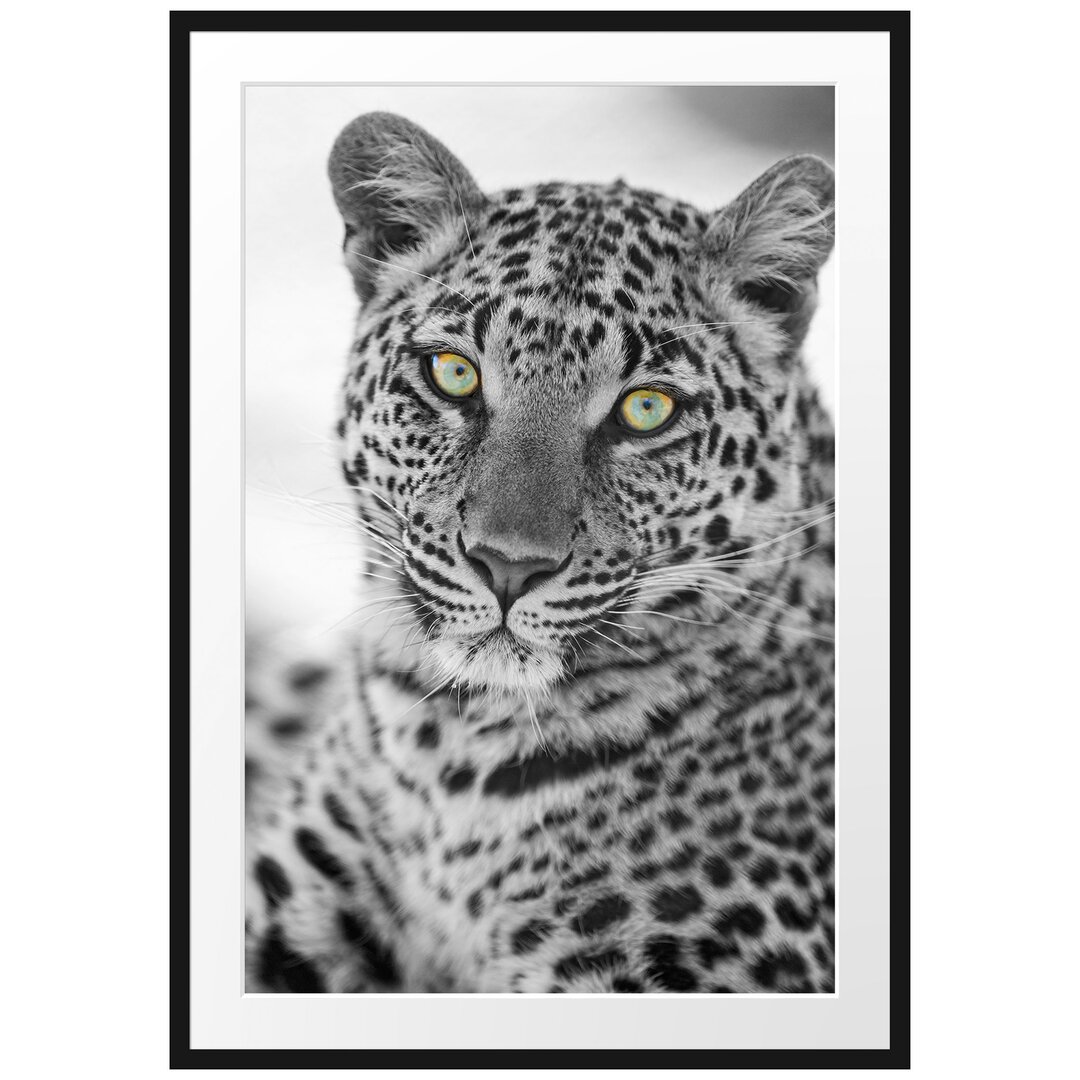 Gerahmtes Poster Wunderschöner Leopard