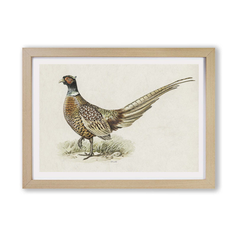 Ring-Necked Pheasant by Von Wright - Single Picture Frame Painting, Oak, 33cm H x 45cm W x 2cm D