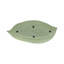 Zelen Green Polyresin Novelty Vanity Decorative Tray