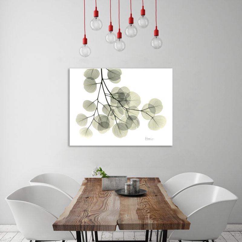 «Eucalyptus - L257», impression sur toile tendue, H 24 po x l 32 po