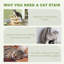 3-Step Pet Stairs Ladder, Cat & Dog Climb Steps with Cat Tree Design, Beige