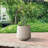 Laihla Pot Planter-1171178245-1171178246