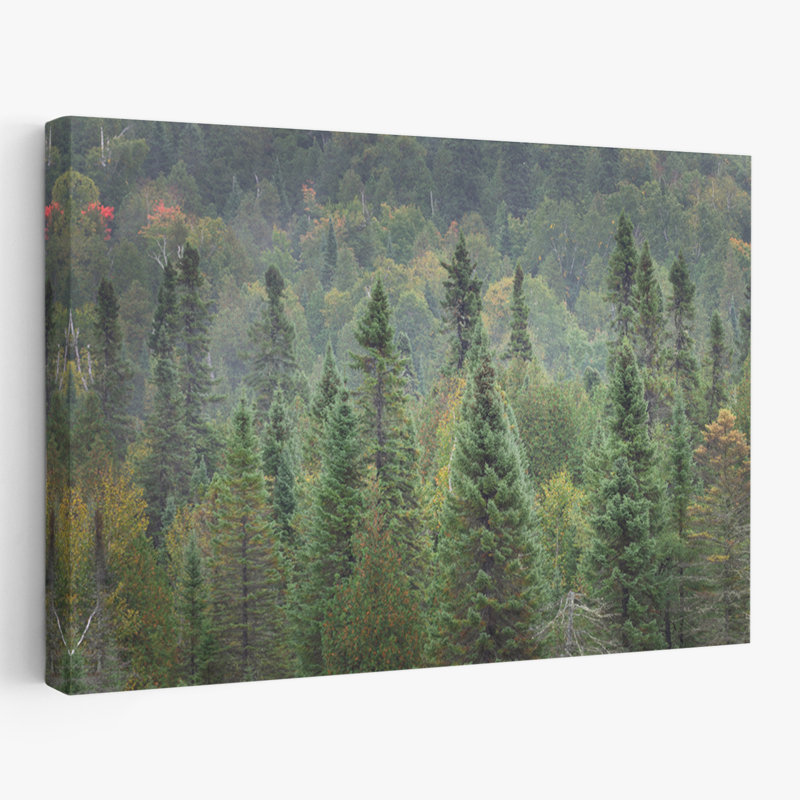 Rustic and Modern Rustic Superior National Forest I, H 60 po x l 40 po