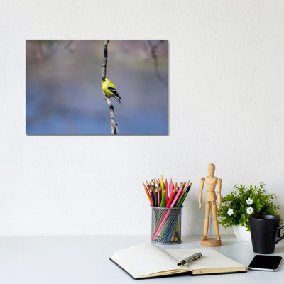 Goldfinch In Blue by David Gardiner - Wrapped Canvas Print