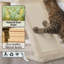 146cm H Cat Tree-428460788