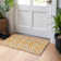 Chayden Area Rug