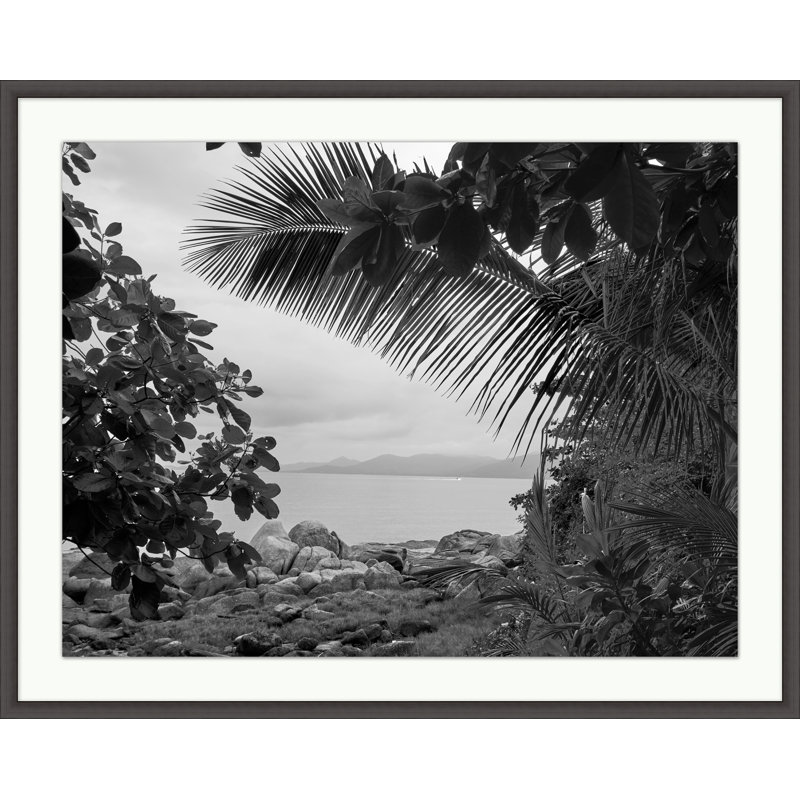 Thai Palm' Framed Photographic Print on Glass