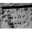 One-of-a-Kind 10'1" X 13'4" Area Rug