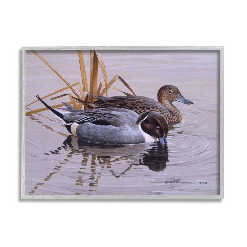 «Ducks with Pond Ripples» par Rod Lawrence, reproduction de photo sur toile, H 24 po x l 30 po x P 1,5 po