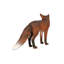 Statue européen fox