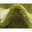 Dejourn Hand Woven Area Rug-1917867883