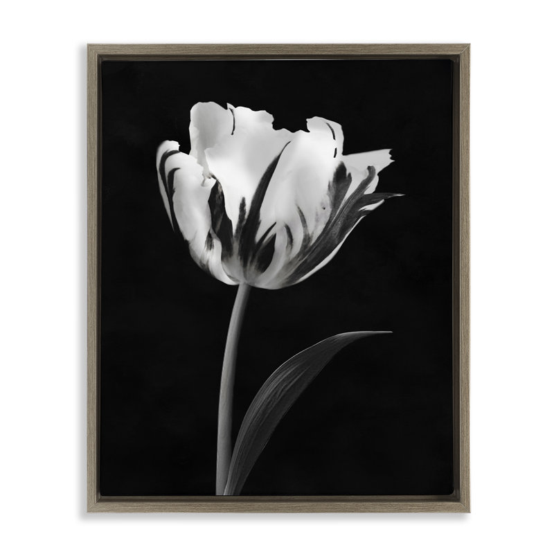Cadre flottant noir Modern Flower Stark, design par CAD Designs, H 21 po x l 17 po, Cadre flottant orme Montalcino