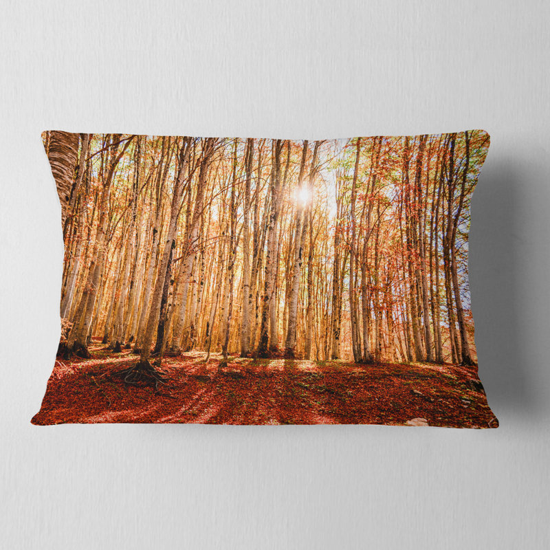 Reversible Throw Pillow
