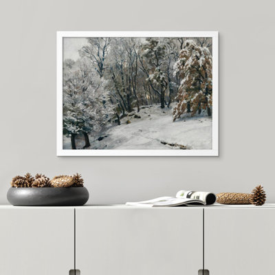 " Winter Snow Covered Birch Trees "