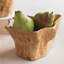 Wood Decorative Bowl