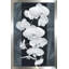 Orchidée opulence II par Katrina Craven - impression-604868157-604868156