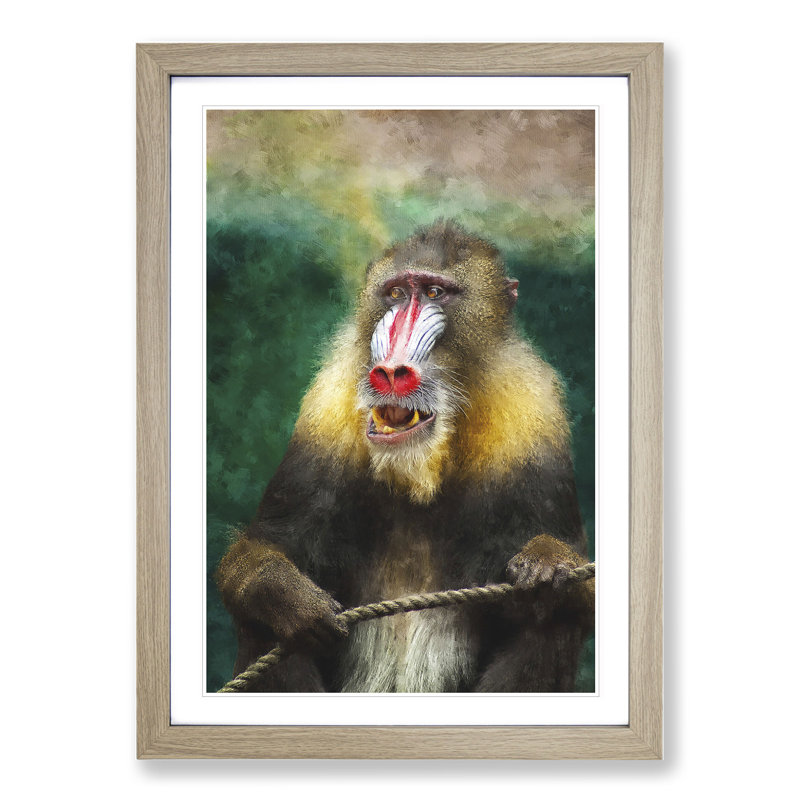 Mandrill Baboon Monkey - Picture Frame Painting, 48cm H x 36cm W x 2cm D, Oak Framed