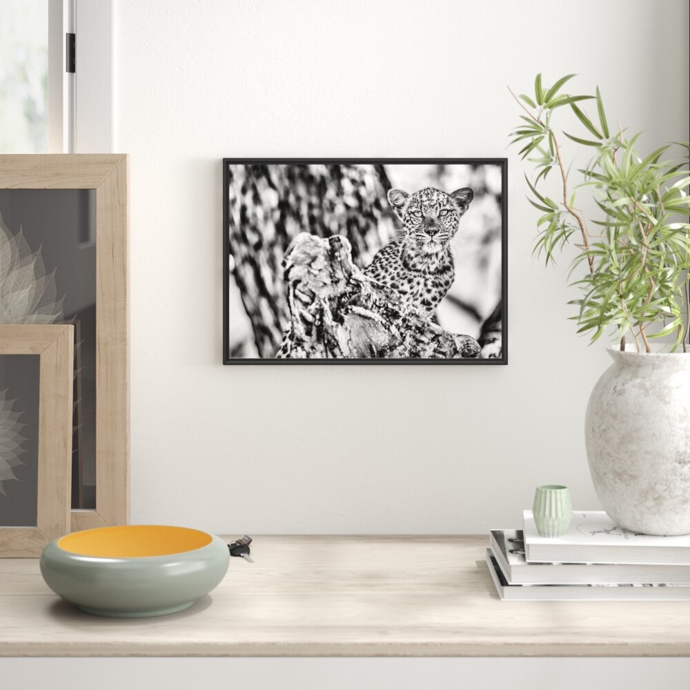 Gerahmtes Wandbild Leopardjunges auf Baum