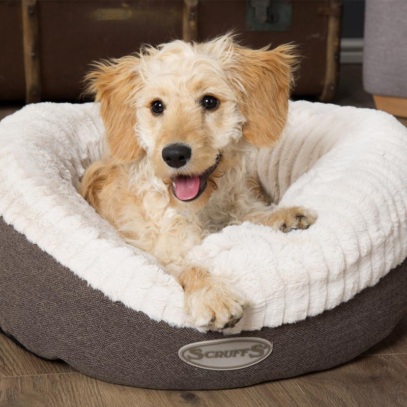 Ellen Polyester Pet Bed, 15cm H x 55cm W x 55cm D, Charcoal/Ivory
