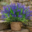 Tiges de fleurs artificielles mauves lavande pour la décoration