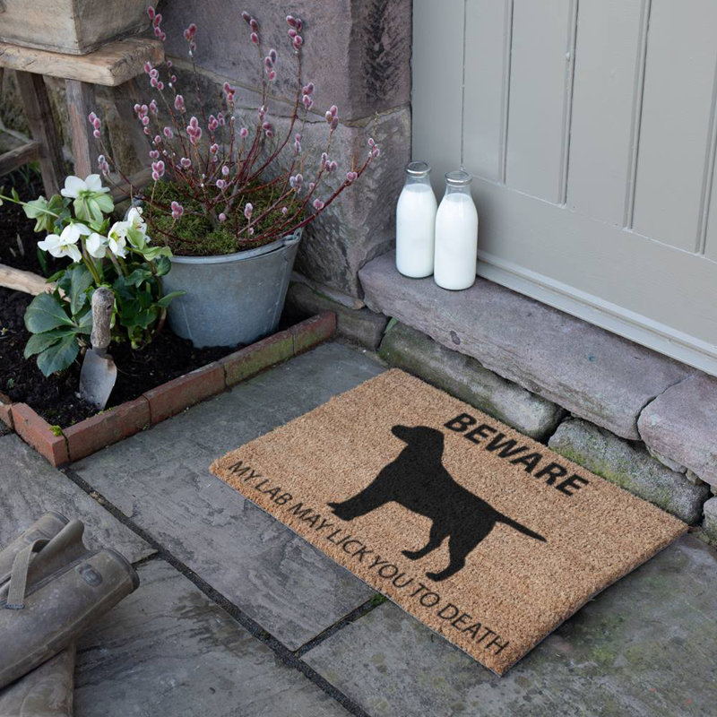 Palmore Non-Slip Outdoor Doormat