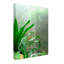 «Rainforest Leaves», reproduction de photo sur toile tendue-31868076