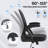 Executive Mesh Task Chair with Adjustable Lumbar Support, Home Desk Chair with Flip-up Arms, Ergonomic Office Chair, Black-1707674047