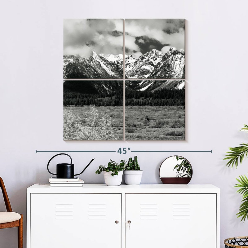 Alvord Snowy Teton Mountains BW, H 32 po x l 32 po