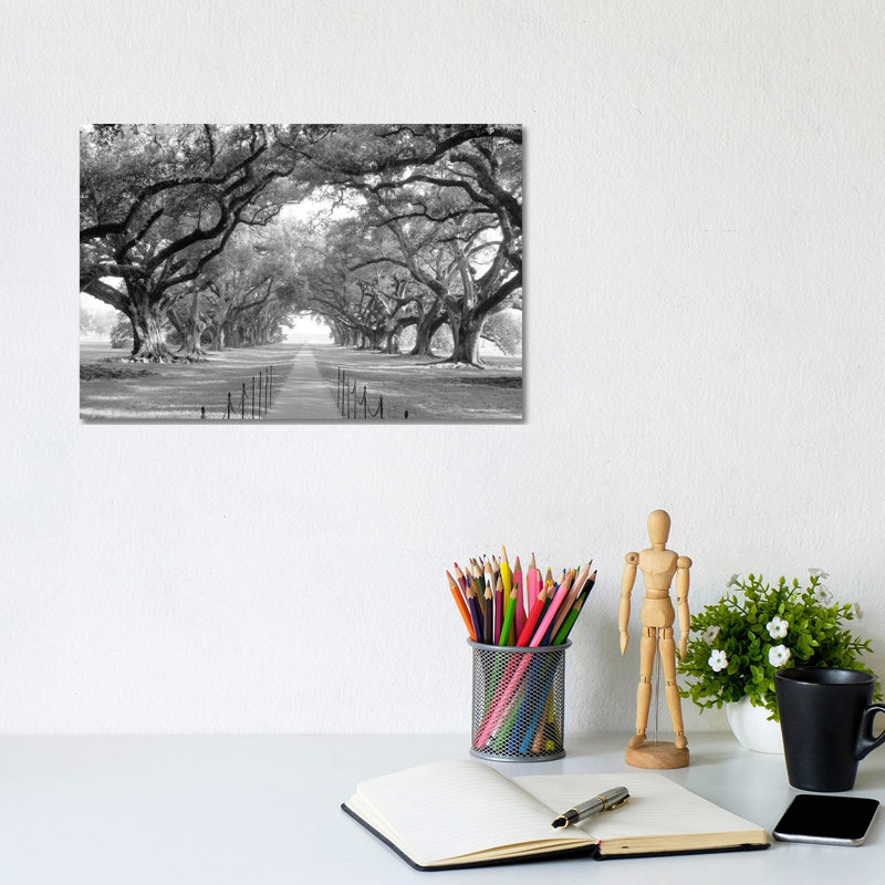1 Piece Wrapped Canvas Wall Art, 20.50cm H x 31cm W