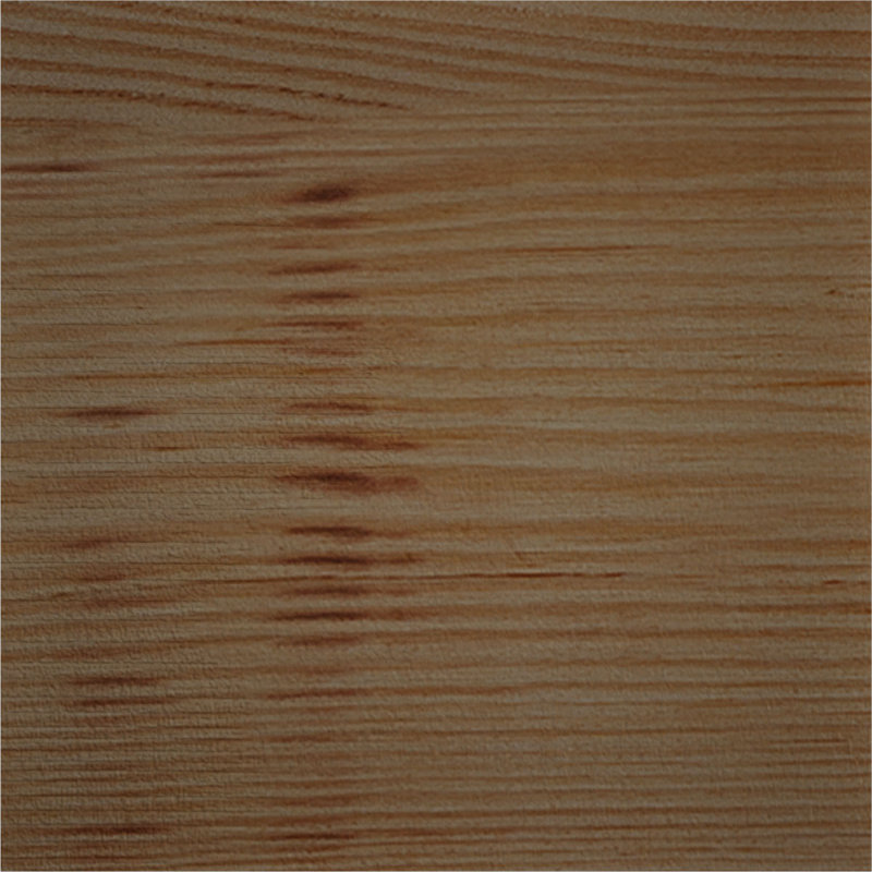 Corbeau méditerranéen, H 6 po x l 5,5 po x P 6 po, Sapin de Douglas, Lisse
