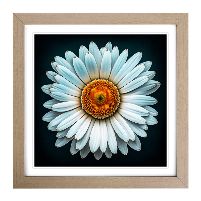 Daisy Ornamental Art - Framed Print, Oak