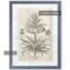 «Fresco Crown Imperial III» par Paul Cezanne - reproduction d'art encadrée-1138327943-1138327999