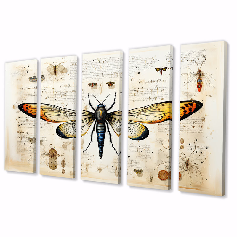 «Beige and Yellow Moth Blueprint - Insectes & Bugs», ensemble de 5 décorations murales, H 28 po x l 60 po