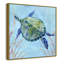 Collection Se3a Turtle Sea Turtle II par Carol Robinson-93233739-93233741