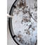 Miroir Theodor D31.5x0.5 "