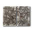 Toile tendue avec châssis Sweet Gum Leaves - prête à être accrochée-1182934007