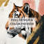 Golden Stripe Tiger Duvet Cover - Wildlife Bedding Set-137328181