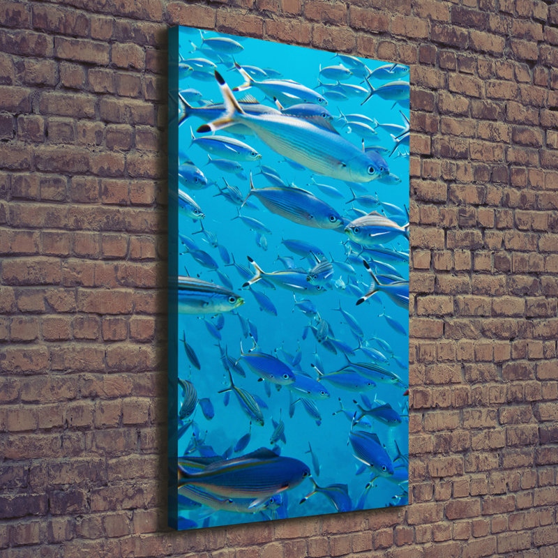 Coral Fish - Wrapped Canvas Print
