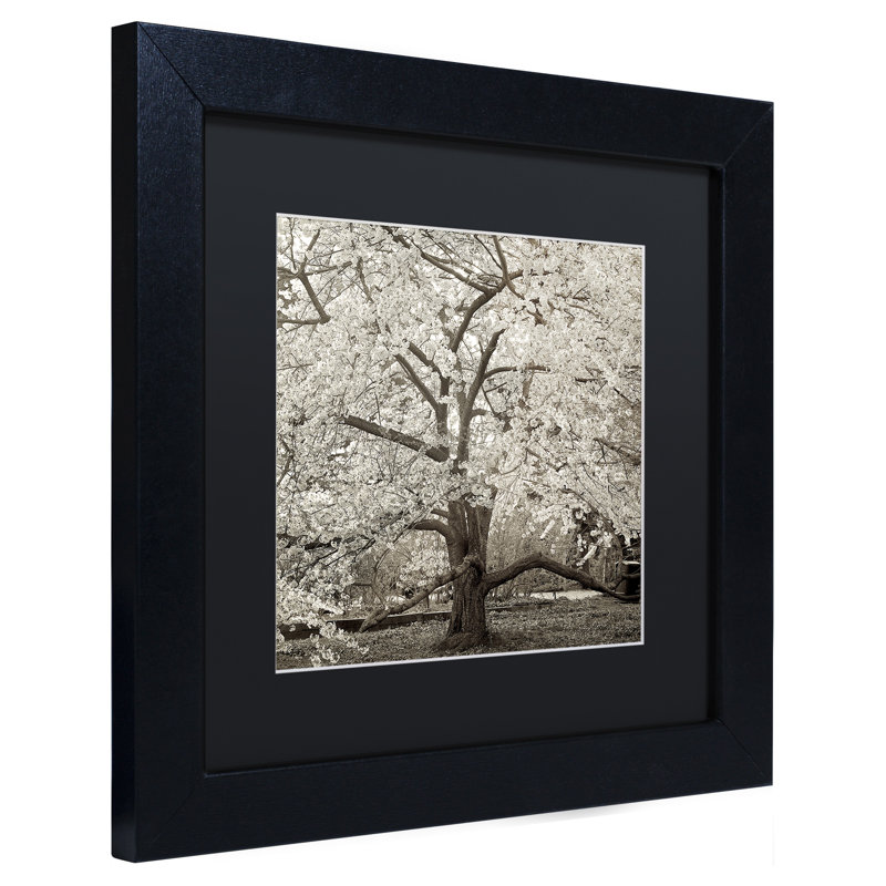 'Hampton Magnolia II' Framed Photographic Print, 11" H x 11" W x 0.5" D, Black
