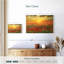 Alvord Poppy Meadow Sunset-111839524