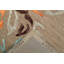 Flowers Floral Hand Woven Area Rug-39672835