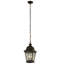 Rustic Lodge 2 - Light Pendant