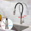 Ellis Pull Down Single Lever Monobloc Tap