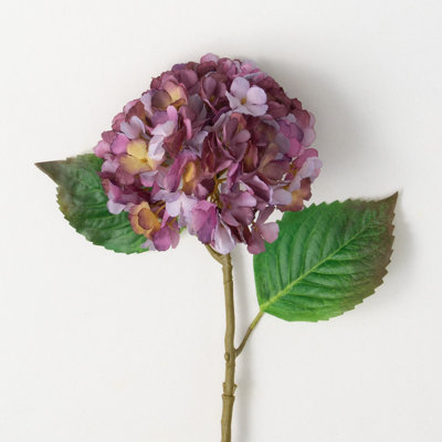 Hortensia en fleurs 21 po Hatherleigh