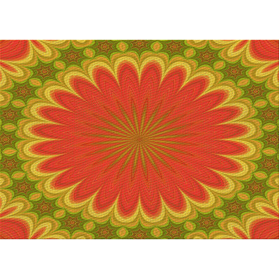 Oriental Indoor Rug