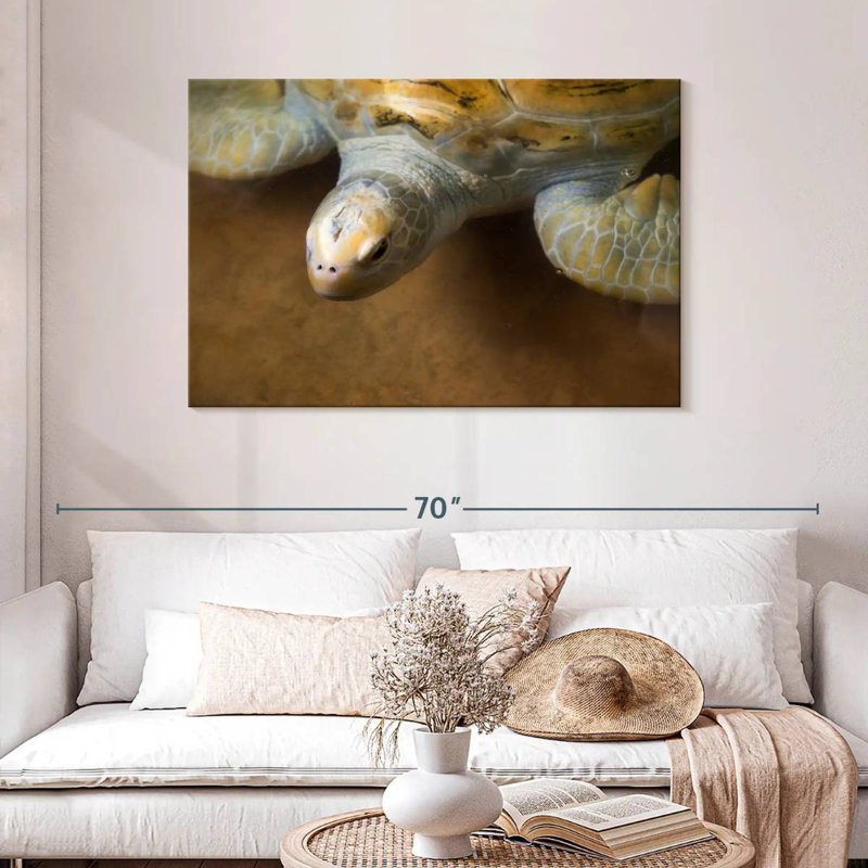 Grande tortue Brampt, H 30 po x l 45 po