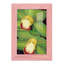Lime orchidée I - reproduction de cadre photo simple-2014407366-2014407422