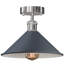 Chasteen Semi Flush Mount-1328406549