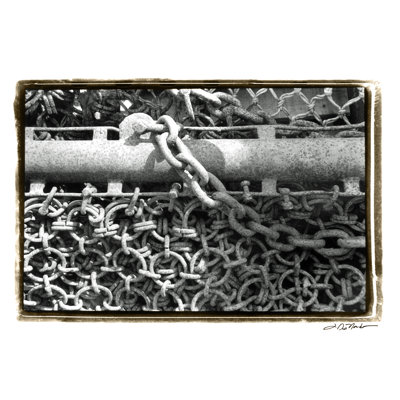 Laura DeNardo - Wrapped Canvas Print